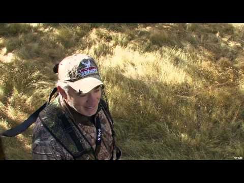 Archer's Choice - Powder River Velvet Bucks