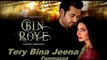 Tere Bina Jeena Song From Pakistani Film Bin Roye - Rahat Fateh Ali Khan_HD-720p_Google Brothers Attock