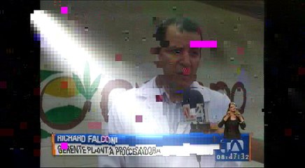 Planta procesadora de guayusa genera fuentes de empleo