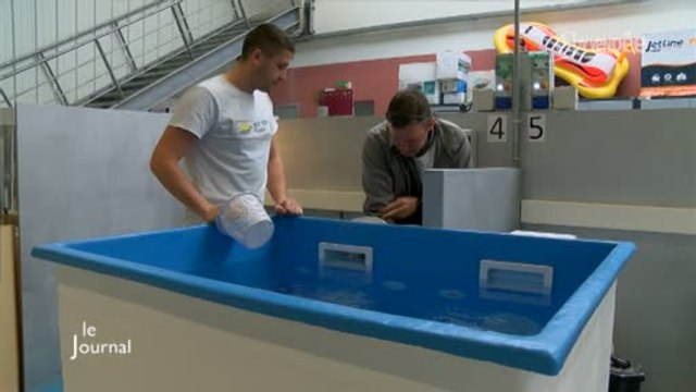 BTP CFA Vendée : Des formations pour devenir piscinier