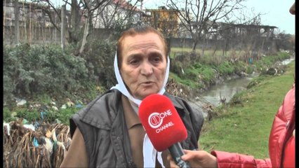 Lagjia ish Fruti Kultur në Kamëz, në rrezik epidemie