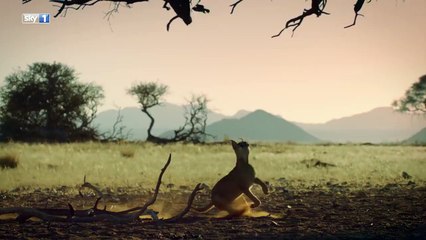 OMG Must Watch This Video