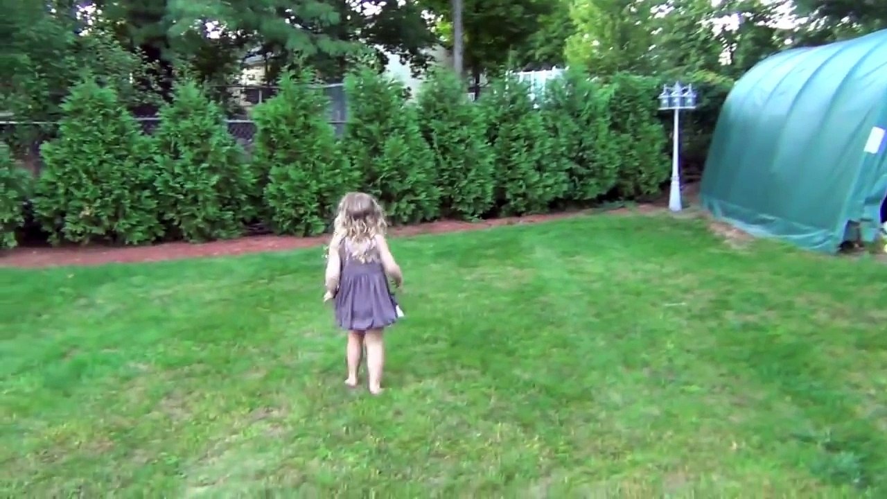 Ultimate Dog Shaming 2  Cute Dog Maymo & Puppy Penny