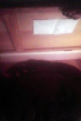 Simple Makeup Tutorials - Video Dailymotion