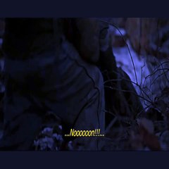 Regarder le film La Route (2009) en francais VOSTFR