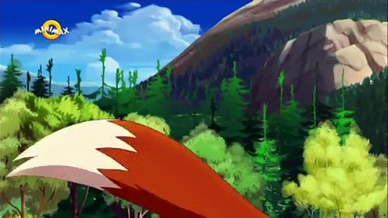 Lassie és barátai Bemutató