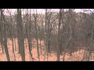 Winchester Archery's Whitetail Frenzy - Season 1 Finale