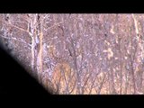 Canadian Whitetail Television - It's Not So Easy