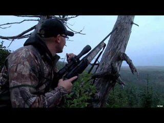 The Canadian Tradition - Grey Foggy Day