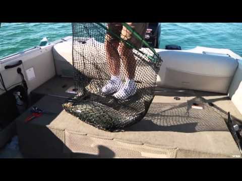 Fishful Thinking - Ontario Salmon and Saskatchewan Pike