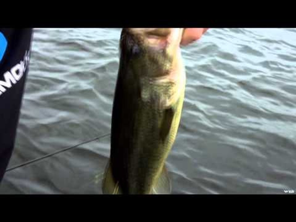 Sportsman 360 TV  - Bay of Quinte Longnose Gar