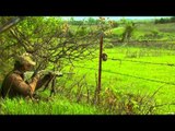 Primos - The Truth About Hunting - Turkeys in Missouri and Iowa