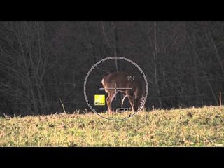 The Choice  - Edwards Family Vacation