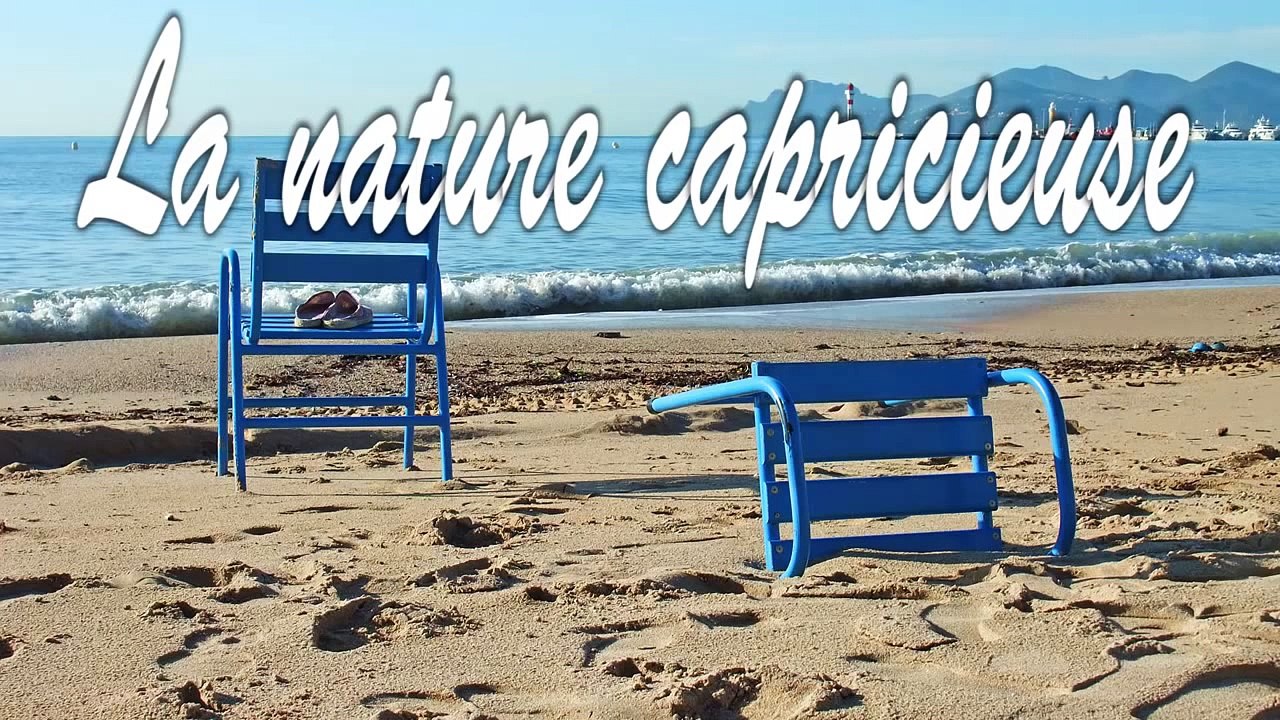 ♫♪ 1 heure de musique douce sans parole - 1h de musique dambiance douce