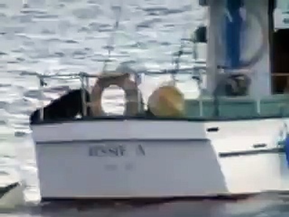 friendship has no boundaries