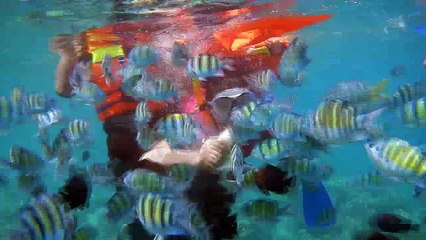 SNORKELING IN SABANG ACEH
