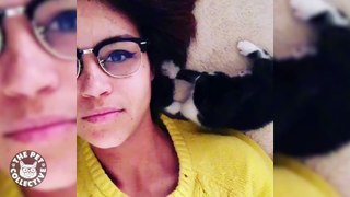 Kissing Kitty Cat || Kitten Love