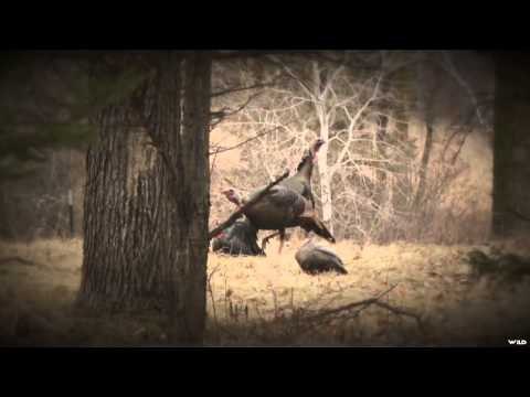 Babe Winkelman's Outdoor Secrets - What's Up at The Winkelman's