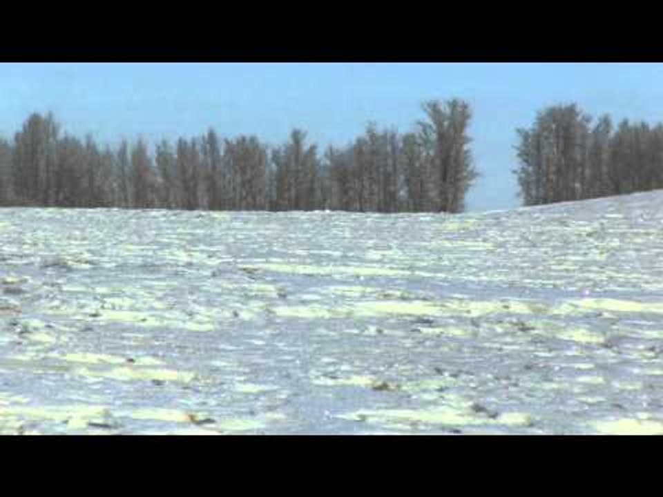 No Limits TV - Alberta Predators