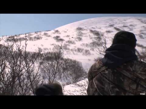 World of Sports Afield - When Bear Rugs Come Hard