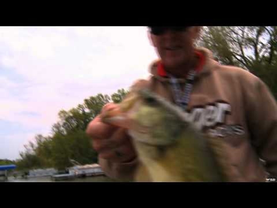 Lumberjacks - St. Stephen International Lumberjack Competition