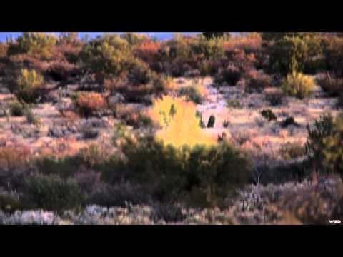 Ridge Reaper TV - Salto Mortal