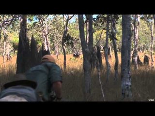 North American Hunter - Australia