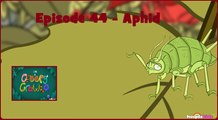 I'm a Creepy Crawly - Episode 44 -  Aphid