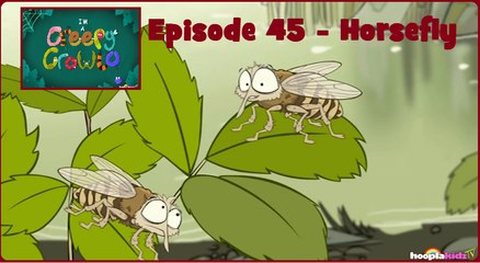 I'm a Creepy Crawly - Episode 45 - Horsefly