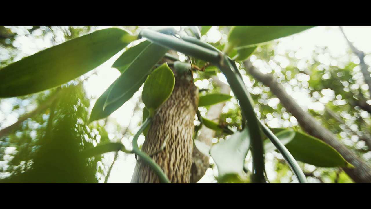 Trailer Wopos je t'aime tellement le clip