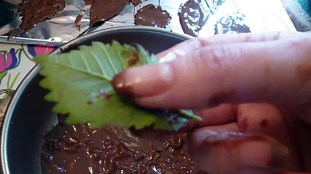 Украшения из шоколада. Шоколадные листья. Как красиво оформить торт