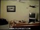 Cat in ceiling fan-