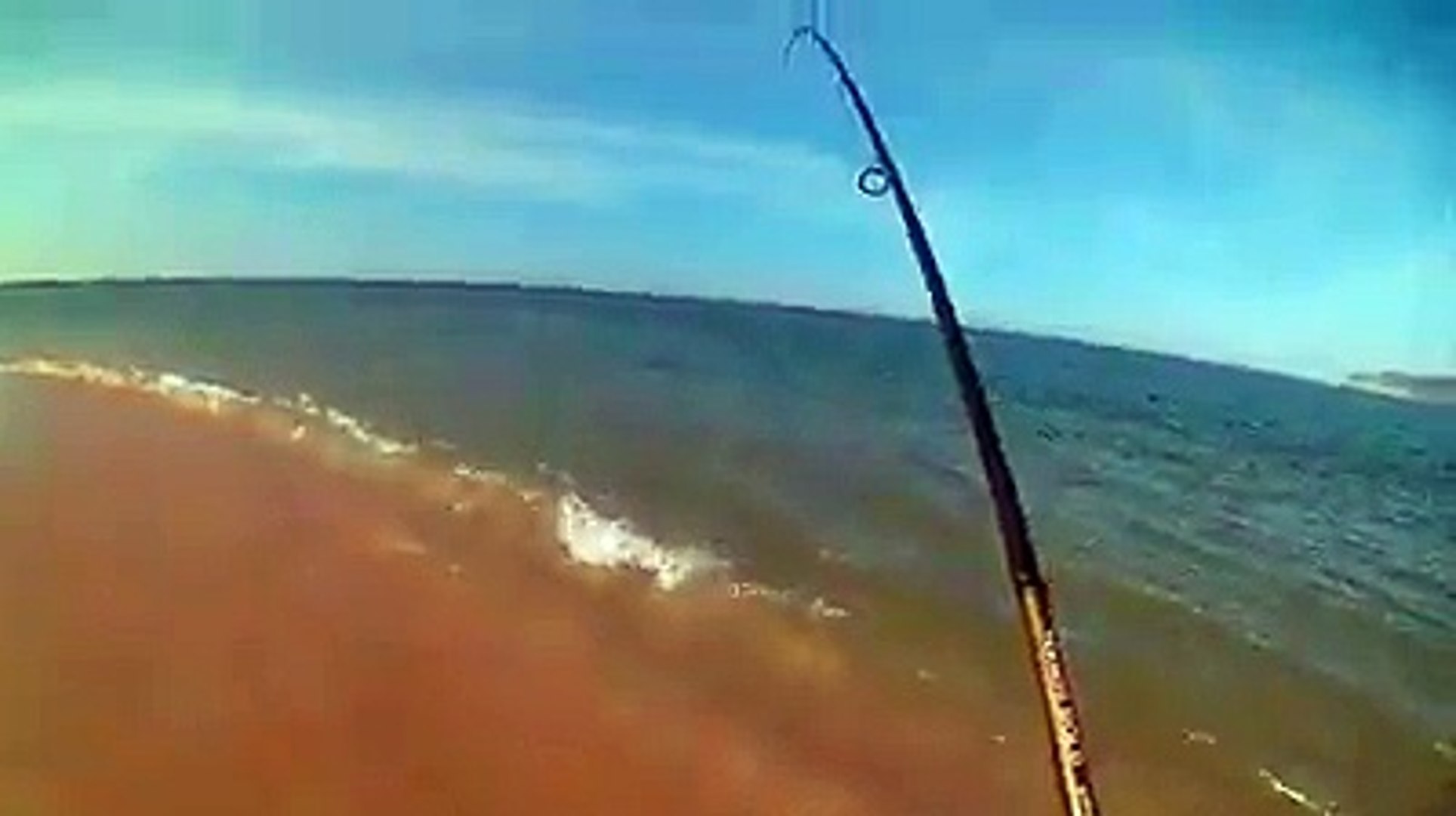 صيد سمكة قاروص بالرّيشة - Vidéo Dailymotion