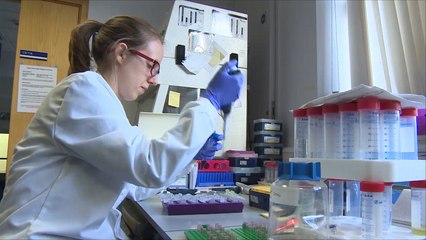 جدل في بريطانيا بشأن السماح بتعديل الأجنة وراثيا