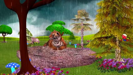 Tiger Cartoon Singing Rain Rain Go Away Nursery Rhymes And Finger Family Rhymes For Childr