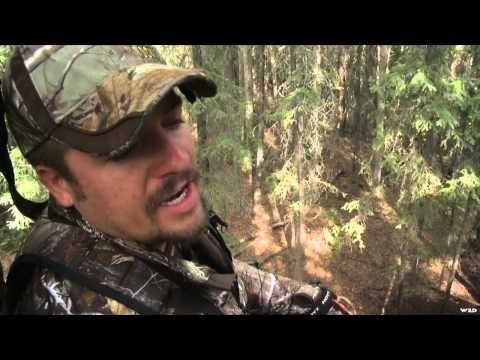 Archer's Choice - Freddy Loves Big Bear Country