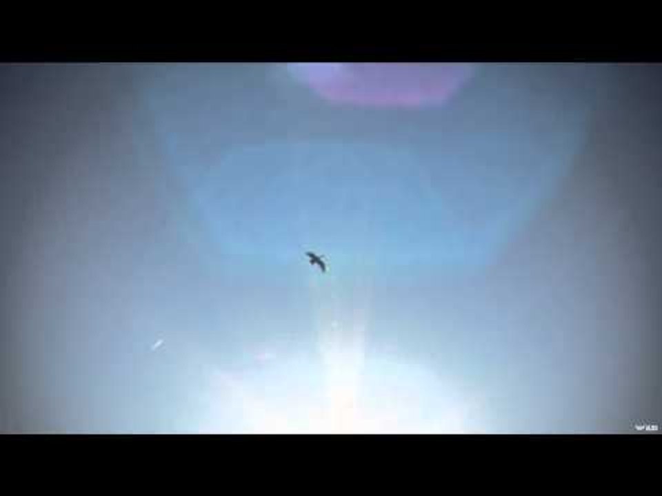 Avian-X TV - Last Day Blues