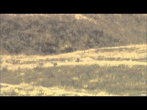 FOXPRO Furtakers - Idaho Coyotes