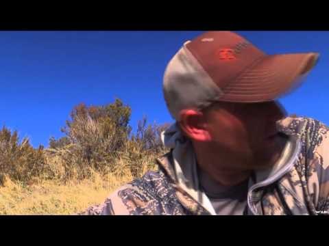 Long Range Pursuit - Idaho Mule and Elk Extravaganza