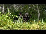 Canadian Whitetail Television - Sooner or Later