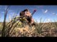 Archer's Choice - Wyoming Antelope & Mule Deer vs. Ralph & Vicki Part 2