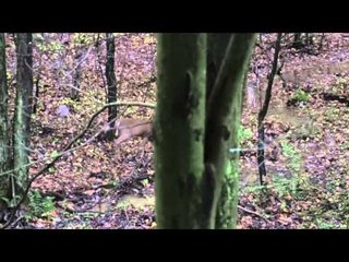 Outdoor Edge Love of the Hunt  - Sheri in Pennsylvania
