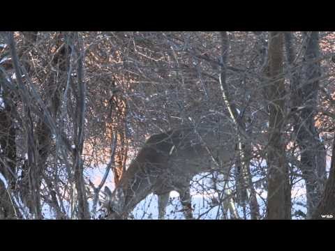 Innerloc's Out There - Late Season Blitz Part 1