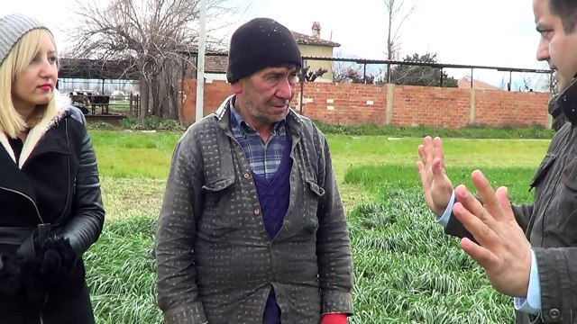 Karamba Otu, Caramba Yemi, Yem Bitkisi, Ekimi, Bakımı, Biçimi, Gübreleme