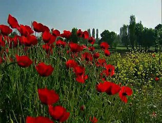 Yalvar kul Allah'a yalvar ilahisi - Müziksiz ilahi