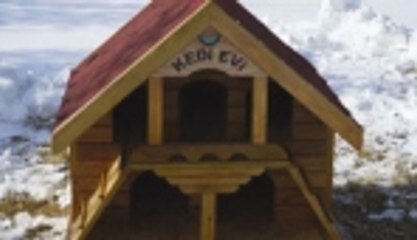 Atık keresteler sokak kedilerine "ev" oluyor