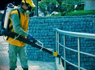 Brasil: firman convenio para desarrollar vacuna contra virus Zika