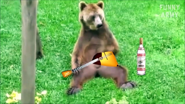 Funny videos 2016 Try not to laugh or Grin (Challenge Impossible) - Funny Pranks - LOL || FUNNY ARM