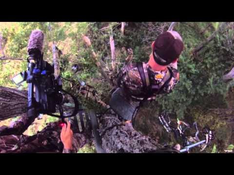 Buck Ventures Outdoors - Velvety Pothole