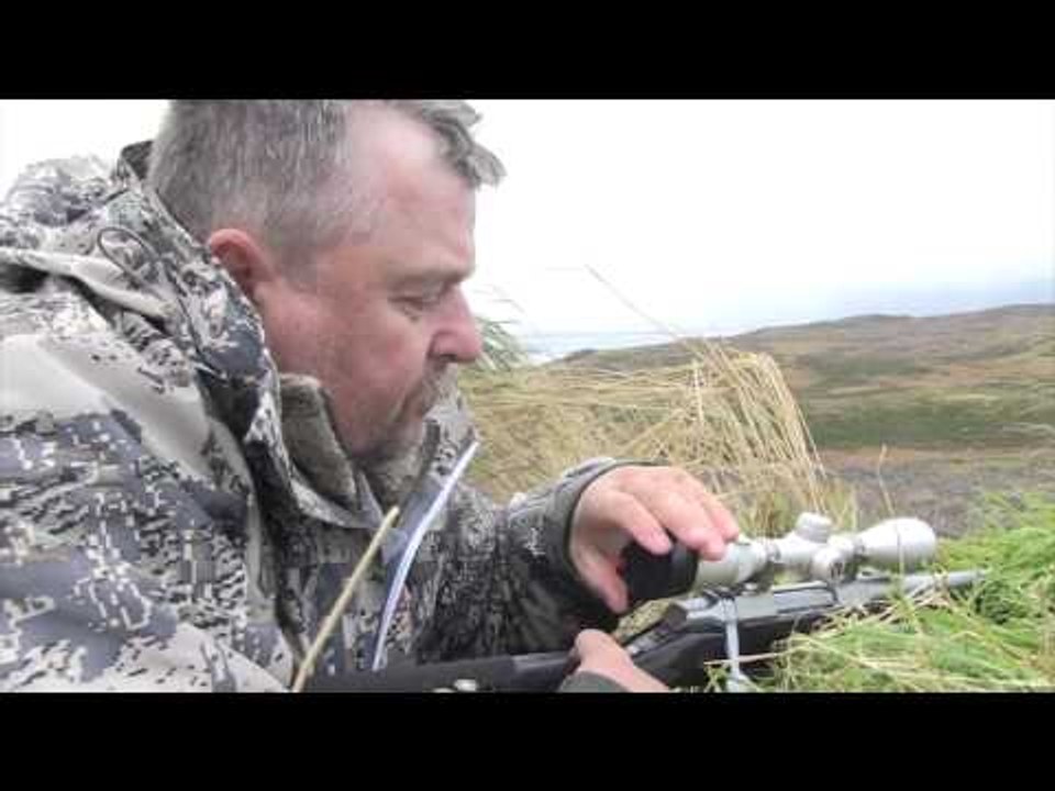 The Hunting Chronicles - Alaskan Brown Bear